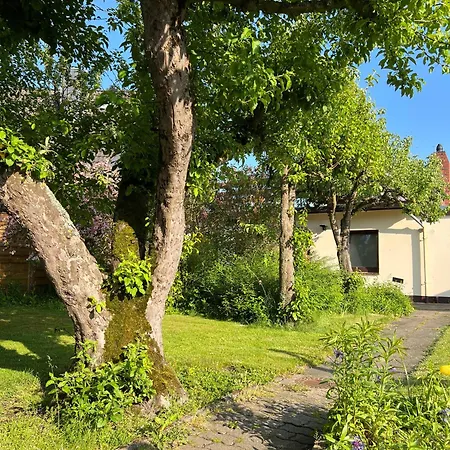 Ensemble Aus Ferienhaus Und Einliegerwohnung *